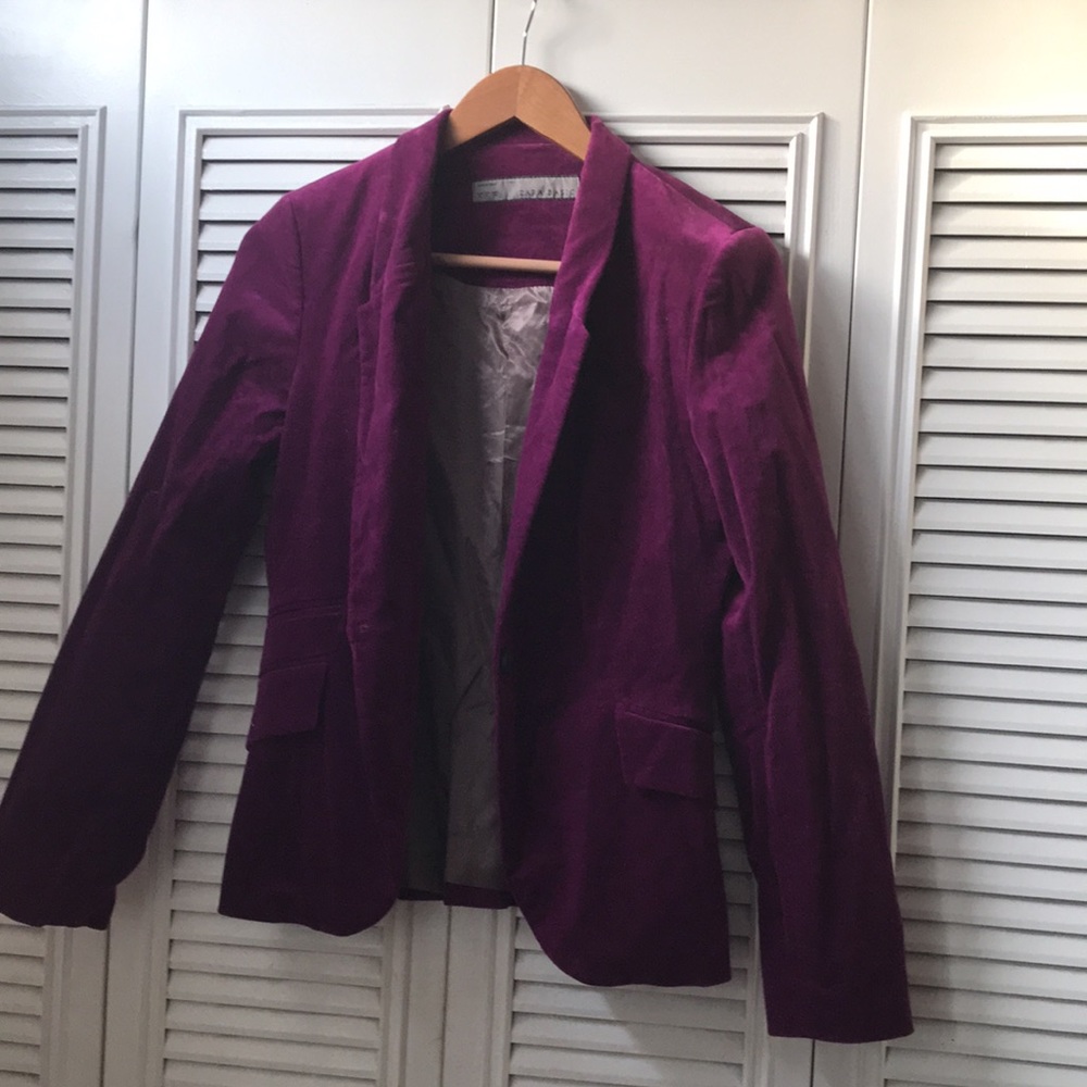 Zara Velvet Blazer